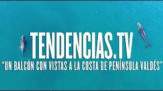 Un balcón con vistas a la costa salvaje de Península Valdés