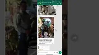 WhatsApp oficial con notas de audio aceleradas (nueva función) como obtenerlo