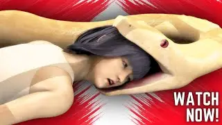 Albino 5 – Sushi In The SPA (3D mercilessnature animation video)