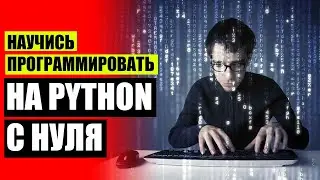🎯 Python разработчик обучение ⛔ Онлайн обучение ит ⚪