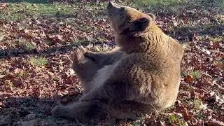 It’s always good to start ur day with a little morning stretching! Follow Jenny 4 more workout tips.