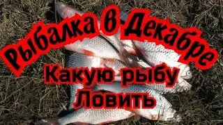 Рыбалка в Декабре. Какую рыбу ловить.