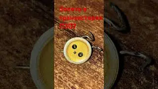 Золото в П307