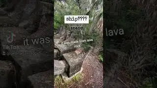 ship? idiot