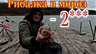 РИБАЛКА В МОРОЗ НА ФЛЕТ ФИДЕР В НОЯБРЕ !!!