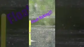 Рыбалка на попловок. #fishing #youtube #bigfish #floatfishing #nice #brean #shorts #shortsvideo