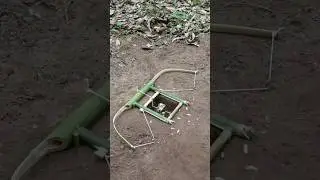 put a trap for catching the pheasant in forest 