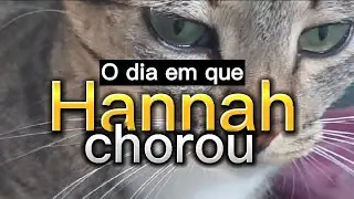 #Parte2 - Hannah: a gatinha dele (Filme)