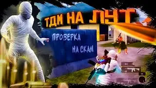 💎ТДМ на ЛУТ💎 ПРОВЕРКА на СКАМ в METRO ROYALE