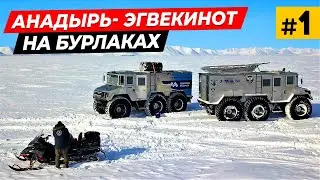 Гонка на собачьих упряжках 