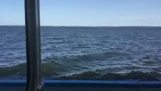 Саратовское водохранилище