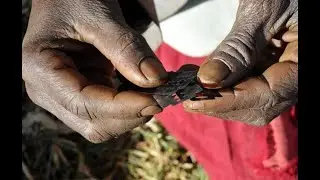 Cutting Female Genital Mutilation Out of Africa!!