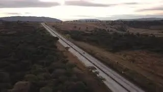 Highway between trees
