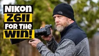 Nikon Z6II for bird photography! The good, the bad, and the....Meh! (One year later)