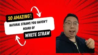 what is wheat straw plastic