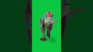 Dinosaur Tyrannosaurus run and roar green screen 