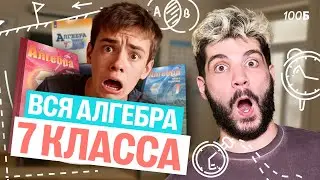 Вся алгебра за 7 класс! | Математика ОГЭ – Дядя Артем