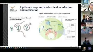 A global lipid map defines a network essential for Zika virus replication