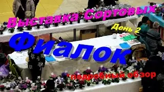 Коллекционные сортовые фиалки на выставке в Туле. Обзор