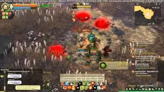Firewall lvl15 guide for Pyromancer 3 Tree of savior