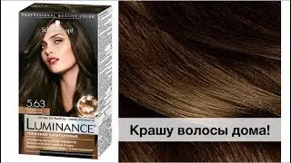 Крашу волосы Schwarzkopf Luminance. Оттенок 5.63