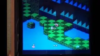 8-bit and 16-bit Reproductions #11