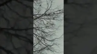 5 февраля