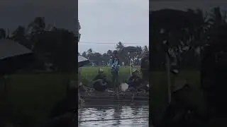 detik2 ikan mas babon naik di turnamen king fishing club