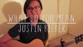What Do You Mean by Justin Bieber (cover)