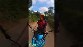 rayap 3