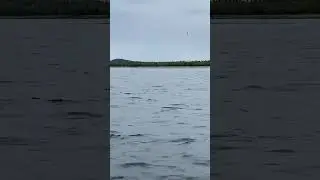 Соловки. Дикость и Красота. Друзья Бян-Кин-До.