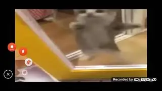 Шни шна шнапи ОРИГИНАЛ