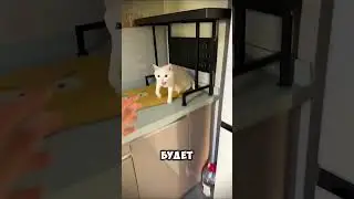 Waking up with such love is happiness 