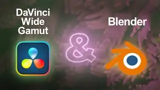 Using DaVinci Wide Gamut with Blender VFX