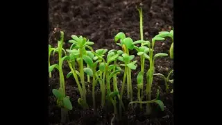 U-Solar programme by UOB | UOB Sustainable Financing