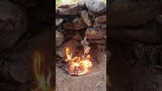 We Built This Waterwheel To Cook Our Meat #survival #bushcraft