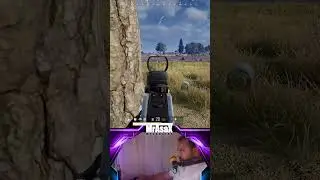 Winer Winer Chicken dinner #pubg mrshooter