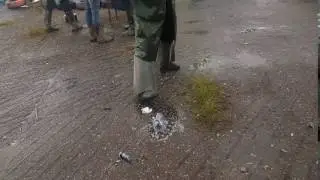 Разбили водку. Доброфест 2017