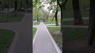 17 августа 2024 г.