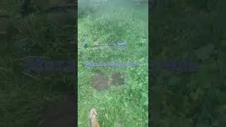 металлоискатель... поиск.. драгоценности.монеты