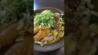 Tasty & filling Japanese udon noodles with beef & gobo