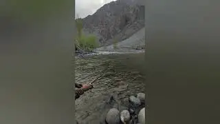 Phander Ghizer fishing trip #gilgitbaltistan #tourisminpakistan #fishig #trout