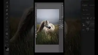 Haz este truco para hacer tus 