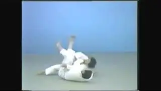 Tani otoshi