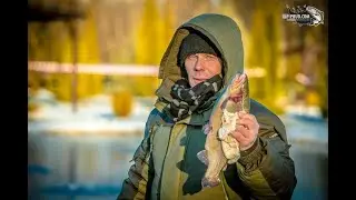 Ловля прудовой форели по первому льду.Рыбалка на платнике.Как ловят форель в Подмосковье.