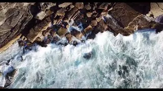 Ocean Sounds and Forest Nature Sound: Meditation, Sleep