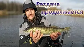 Судак на спиннинг в феврале. Воблеры рулят | Часть вторая