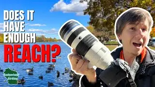 NEW OM SYSTEM 50-200mm F2.8 IS PRO Lens for Bird Photography — First Field Test!
