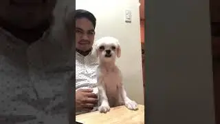 Moira dela Torre making her dog fall asleep