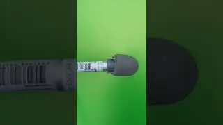 Анатолий цой